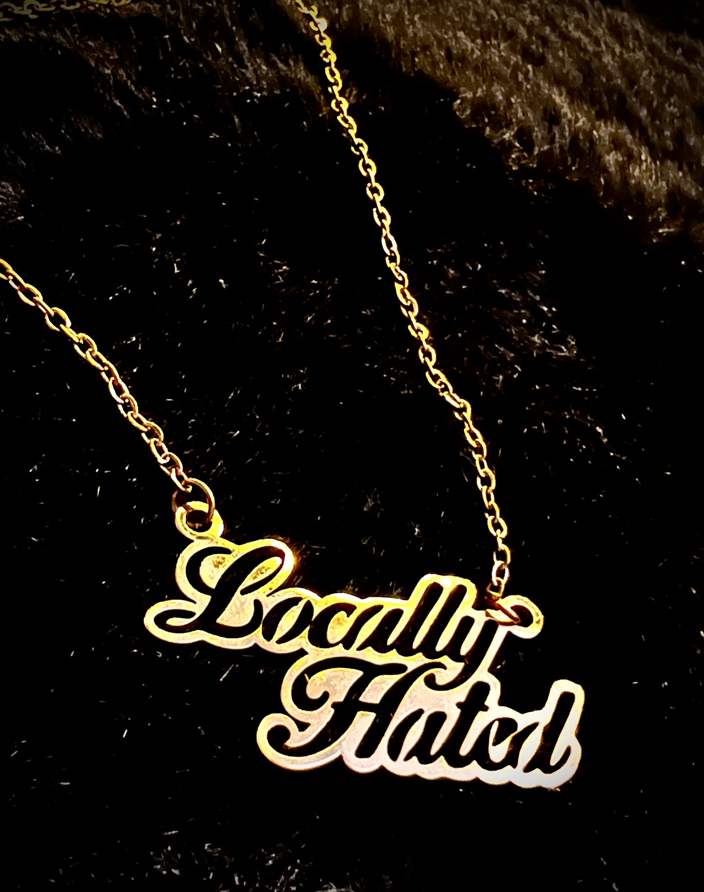 LOCALLY HATED - Kette - gold/silber